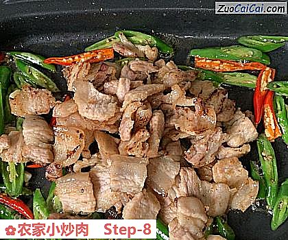 农家小炒肉做法第八步骤