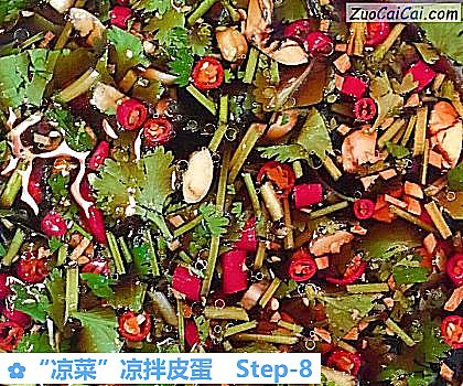 “凉菜”凉拌皮蛋做法第八步骤