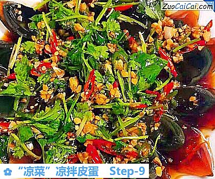“凉菜”凉拌皮蛋做法第九步骤