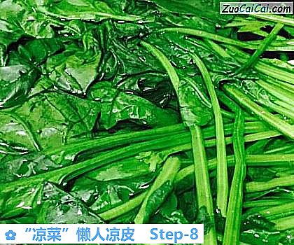 “凉菜”懒人凉皮做法第八步骤