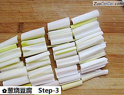 葱烧豆腐做法第三步骤
