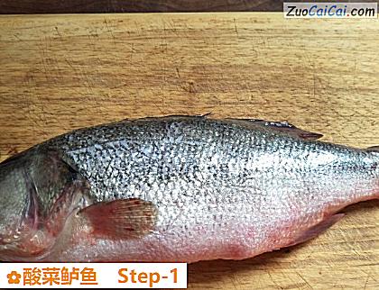 酸菜鲈鱼做法第一步骤