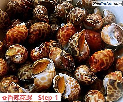 香辣花螺做法第一步骤
