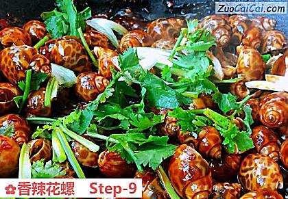 香辣花螺做法第九步骤
