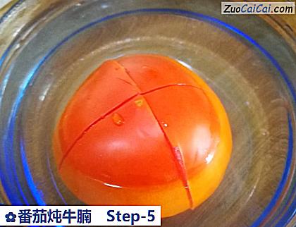 番茄炖牛腩做法第五步骤