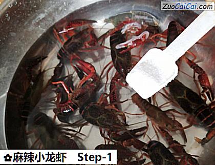 麻辣小龙虾做法第一步骤