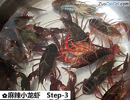 麻辣小龙虾做法第三步骤