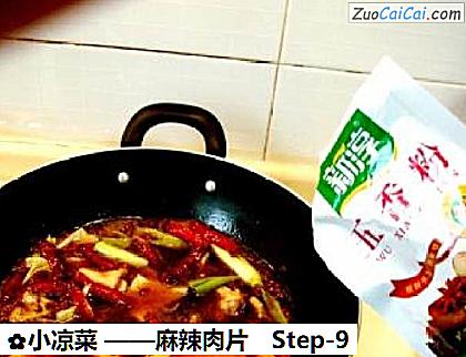 小凉菜——麻辣肉片做法第九步骤