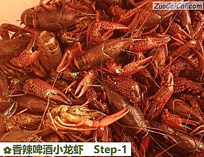 香辣啤酒小龙虾做法第一步骤