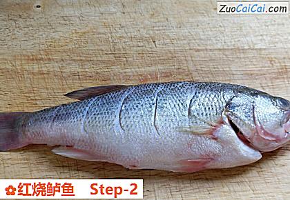 红烧鲈鱼做法第二步骤