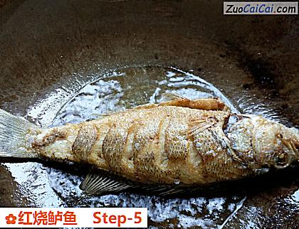 红烧鲈鱼做法第五步骤