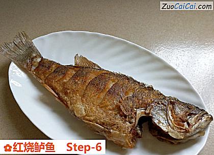 红烧鲈鱼做法第六步骤