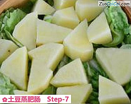 土豆蒸肥肠做法第七步骤