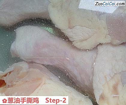 葱油手撕鸡做法第二步骤
