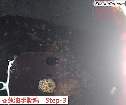 葱油手撕鸡做法第三步骤