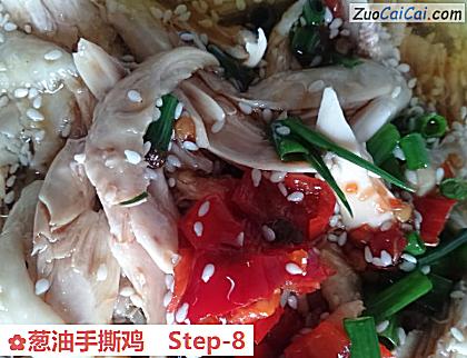 葱油手撕鸡做法第八步骤
