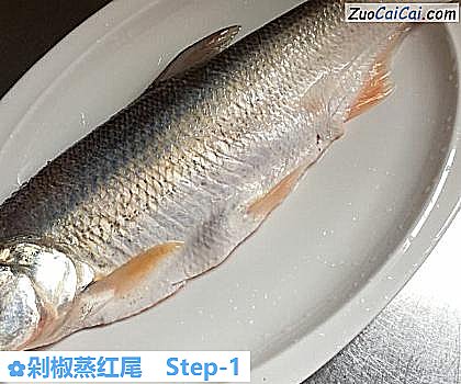 剁椒蒸红尾做法第一步骤