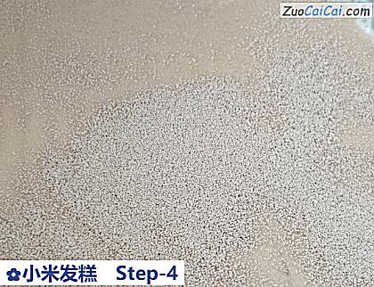 小米发糕做法第四步骤