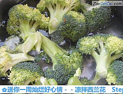 凉拌西兰花做法第一步骤