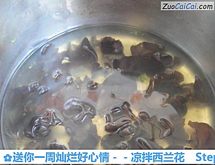 凉拌西兰花做法第五步骤