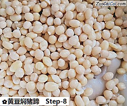 黄豆焖猪蹄做法第八步骤