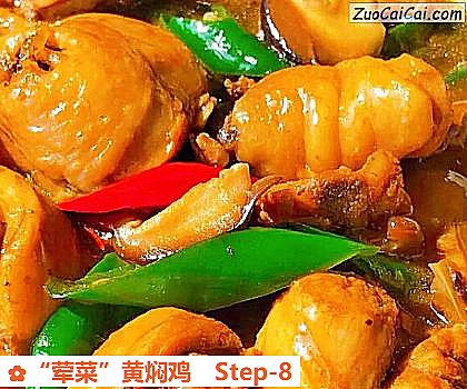 “荤菜”黄焖鸡做法第八步骤