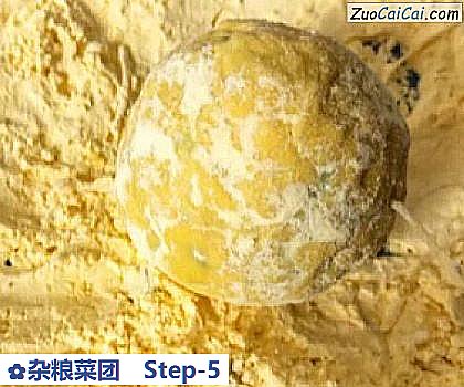 杂粮菜团做法第五步骤