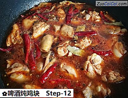啤酒炖鸡块做法第十二步骤