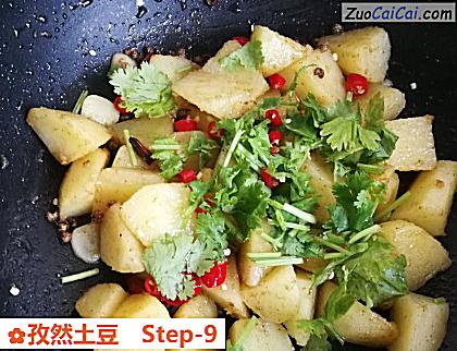 孜然土豆做法第九步骤