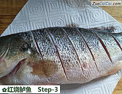 红烧鲈鱼做法第三步骤