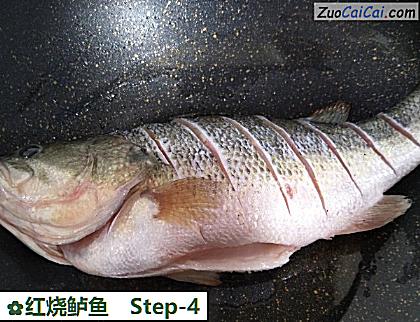 红烧鲈鱼做法第四步骤