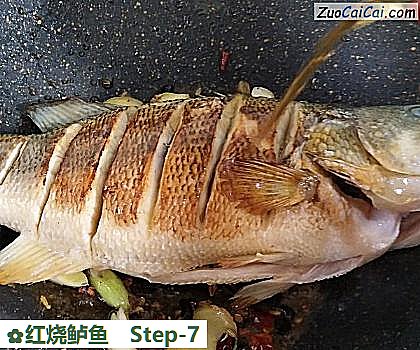 红烧鲈鱼做法第七步骤