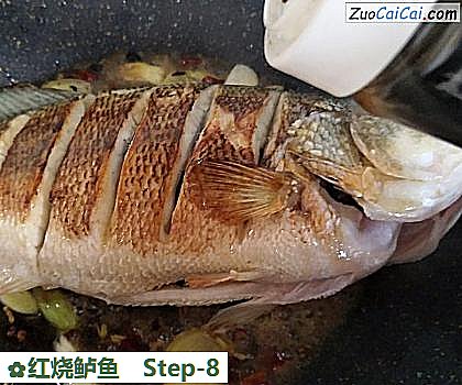 红烧鲈鱼做法第八步骤