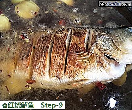红烧鲈鱼做法第九步骤