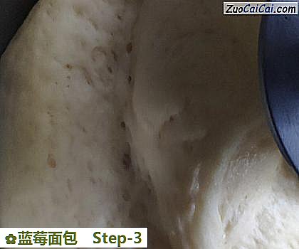 蓝莓面包做法第三步骤