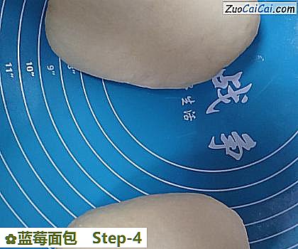 蓝莓面包做法第四步骤