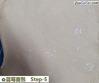 蓝莓面包做法第五步骤