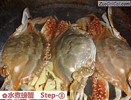 水煮螃蟹做法第三步骤