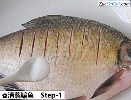 清蒸鳊鱼做法第一步骤