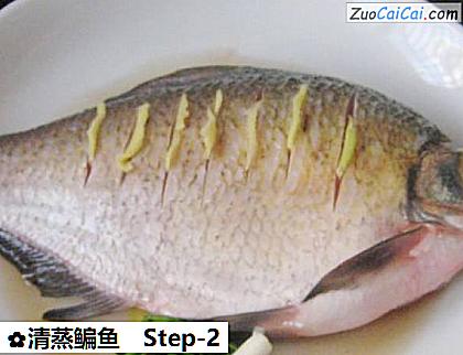 清蒸鳊鱼做法第二步骤