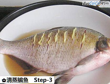 清蒸鳊鱼做法第三步骤
