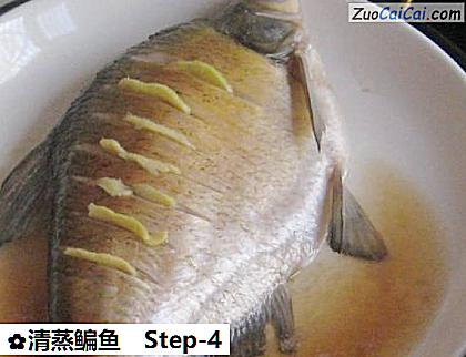 清蒸鳊鱼做法第四步骤