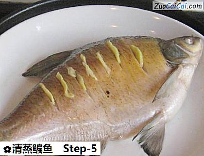 清蒸鳊鱼做法第五步骤