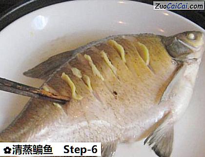 清蒸鳊鱼做法第六步骤