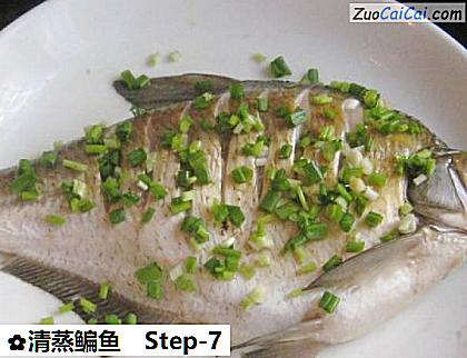 清蒸鳊鱼做法第七步骤