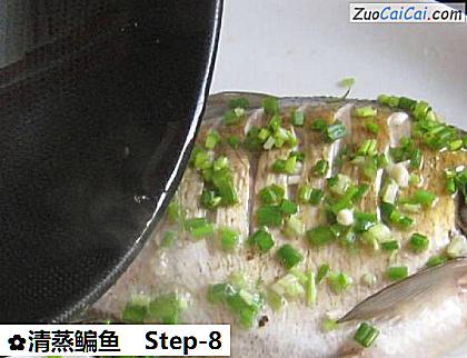 清蒸鳊鱼做法第八步骤