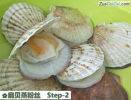 扇贝蒸粉丝做法第二步骤