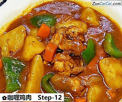咖喱鸡肉做法第十二步骤