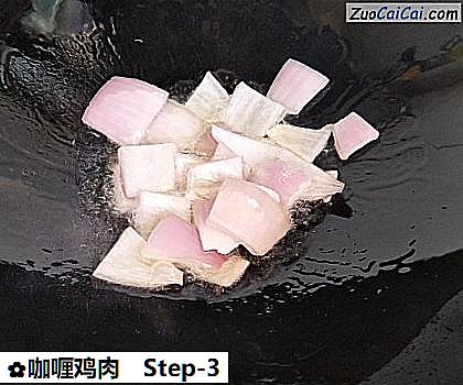 咖喱鸡肉做法第三步骤