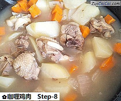 咖喱鸡肉做法第八步骤